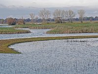 Llano Seco Scene